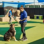 Perfect Pups: Proven Methods for Fun and Effective Training