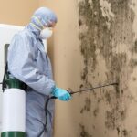 Mastering Mold Inspection and Testing for Businesses and Homes Matters