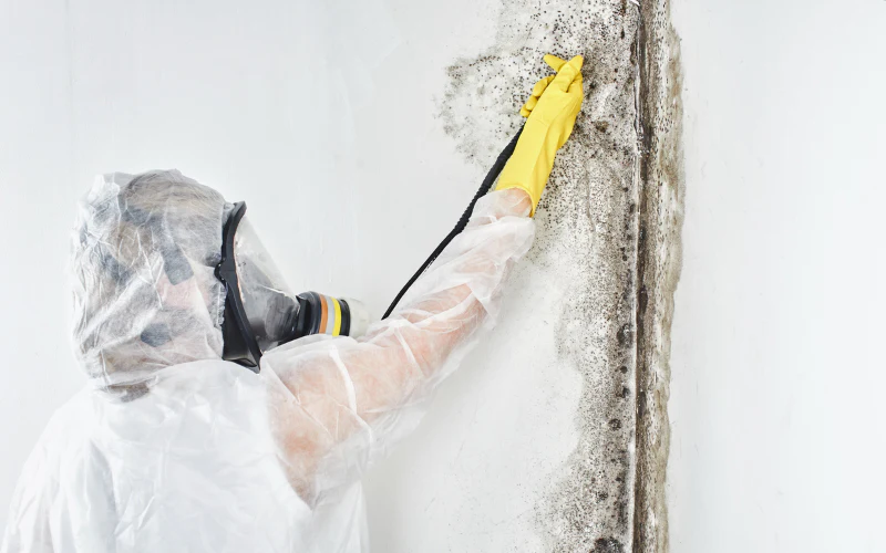 mold inspection and testing in norcross