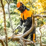 Why you should trust local tree services in Canton and North Canton, Ohio